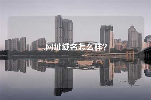 .网址域名怎么样?