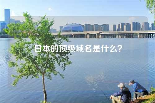 日本的顶级域名是什么?