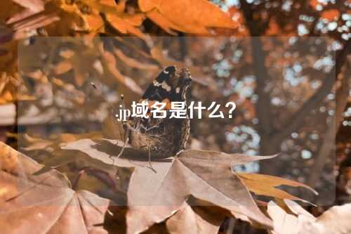 .jp域名是什么?