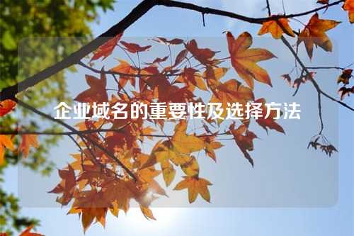 企业域名的重要性及选择方法