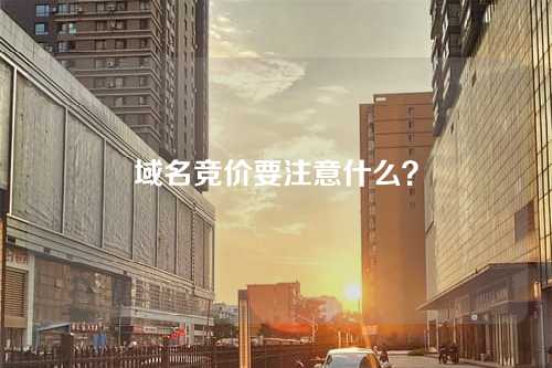 域名竞价要注意什么?