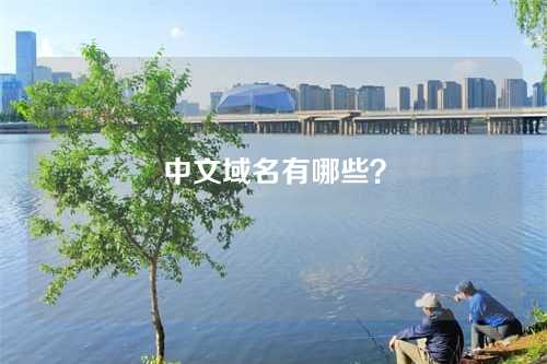 中文域名有哪些?