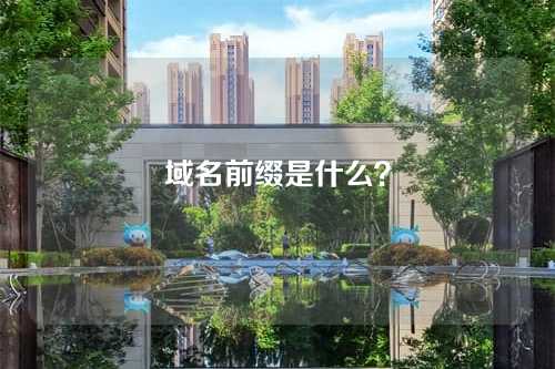 域名前缀是什么?