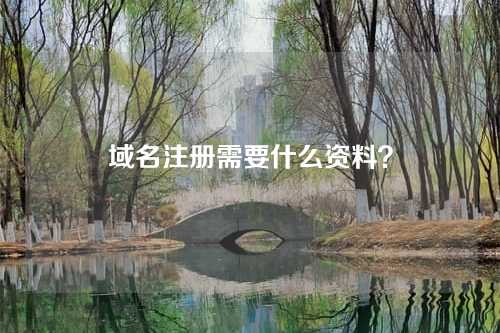 域名注册需要什么资料?