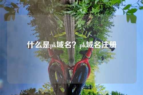 什么是pk域名?pk域名注册
