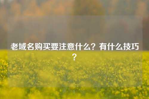老域名购买要注意什么?有什么技巧?