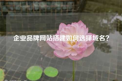 企业品牌网站搭建如何选择域名?