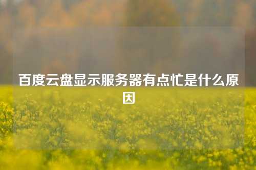百度云盘显示服务器有点忙是什么原因