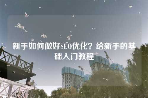 新手如何做好SEO优化?给新手的基础入门教程