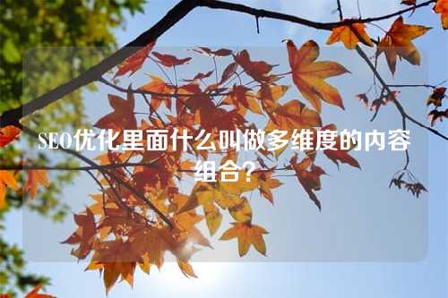 SEO优化里面什么叫做多维度的内容组合?