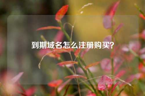 到期域名怎么注册购买?