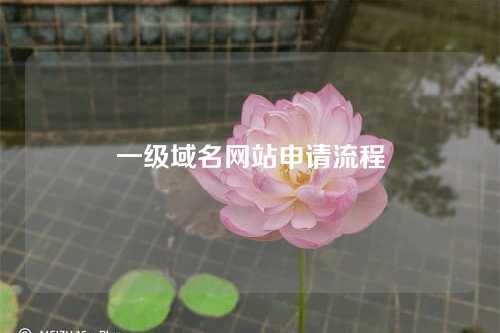 一级域名网站申请流程
