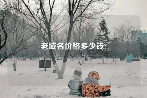 老域名价格多少钱?