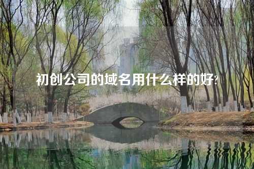 初创公司的域名用什么样的好?