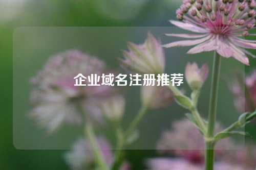 企业域名注册推荐