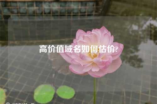 高价值域名如何估价?