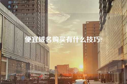 便宜域名购买有什么技巧?