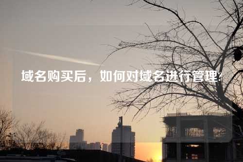 域名购买后,如何对域名进行管理?