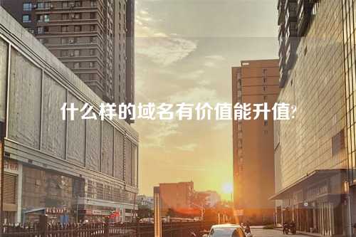 什么样的域名有价值能升值?
