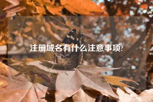 注册域名有什么注意事项?