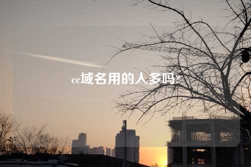 cc域名用的人多吗?