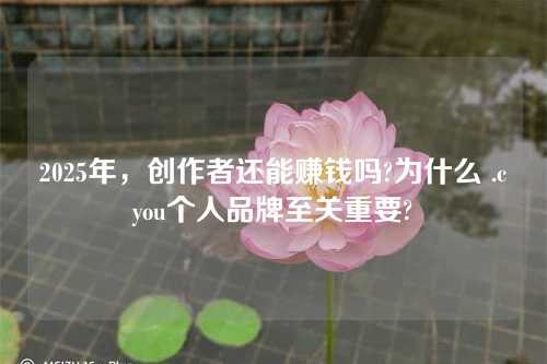 2025年,创作者还能赚钱吗?为什么 .cyou个人品牌至关重要?