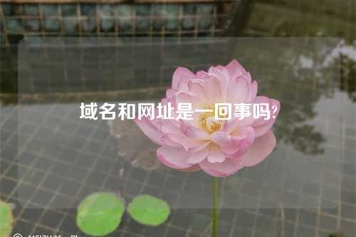 域名和网址是一回事吗?