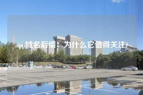 .app域名后缀:为什么它值得关注?