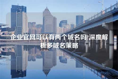 企业官网可以有两个域名吗?深度解析多域名策略