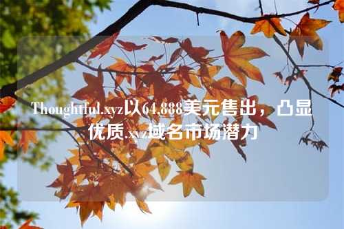 Thoughtful.xyz以64,888美元售出,凸显优质.xyz域名市场潜力