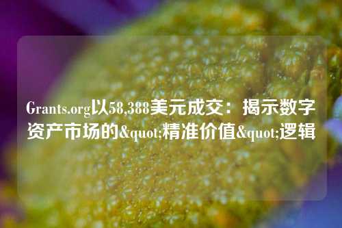 Grants.org以58,388美元成交:揭示数字资产市场的"精准价值"逻辑