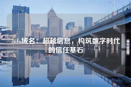 .info域名:超越信息,构筑数字时代的信任基石