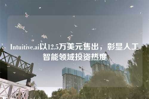 Intuitive.ai以12.5万美元售出，彰显人工智能领域投资热度