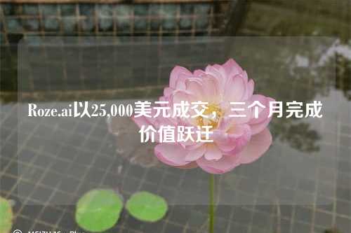 Roze.ai以25,000美元成交,三个月完成价值跃迁