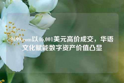 9699.com以46,001美元高价成交，华语文化赋能数字资产价值凸显