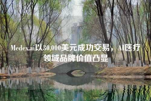 Medex.ai以30,000美元成功交易,AI医疗领域品牌价值凸显