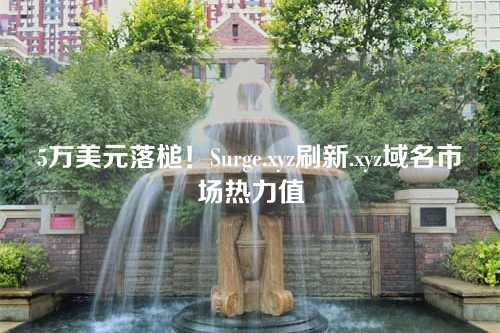 5万美元落槌!Surge.xyz刷新.xyz域名市场热力值